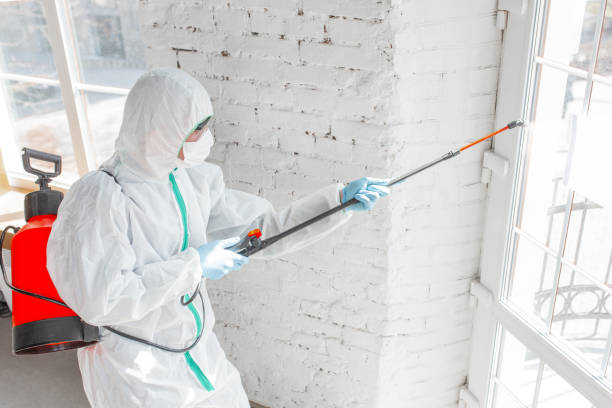 Why You Should Choose Our Mold Remediation Services in Walla Walla, WA